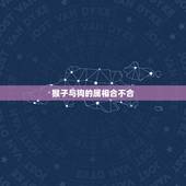 猴子与狗的属相合不合，属猴和属狗的配吗？猴和狗配吗？