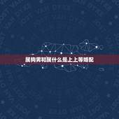 属狗男和属什么是上上等婚配，属狗男和什么属相的女性结婚最合适