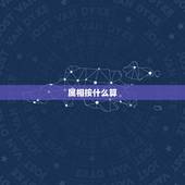 属相按什么算，生肖是按照什么来计算的