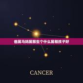 爸属马妈属猴生个什么属相孩子好，属马的爸爸和属猴的生什么属相孩子？