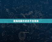 属兔和属牛的合不合得来，属兔和属牛的孩子合不合