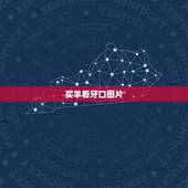 买羊看牙口图片，房子图片大全