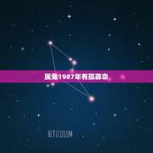 属兔1987年有孤寡命，1987年属兔是什么命