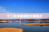 十二生肖婚姻配对表图片，十二生肖配对查询