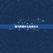 属马的做什么生意红火，属马的人最适合做什么工作