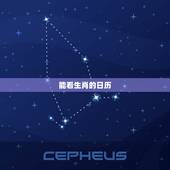 能看生肖的日历，看日历是什么生肖