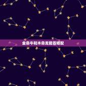 金命牛和木命龙能否婚配，五行婚配，金命和木命合适吗？