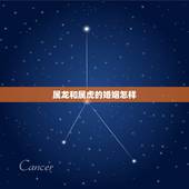 属龙和属虎的婚姻怎样，属虎男生和属龙女生婚姻配吗