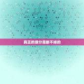 真正的缘分是断不掉的，要学会怎么样把这个缘分不要断掉，因为真正有缘分的