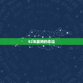 82年属狗的命运，1982年属狗人一生命运如何