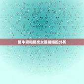 属牛男和属虎女属相婚配分析，属牛男和属虎女生什么属相的孩子好
