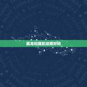 属龙和属蛇结婚好吗，属龙的和属蛇的配吗