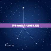 天干地支壬戌代表什么属相，壬戌狗年是什么意思？