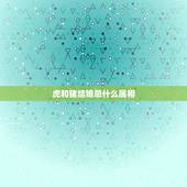 虎和猪结婚忌什么属相，95年男猪和98年女虎结婚送客禁忌什么属相？
