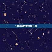 1988年的龙是什么命，1988年属龙的十一财运
