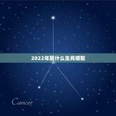 2022年属什么生肖婚配，2022年运势更好的生肖