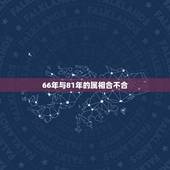66年与81年的属相合不合，1981年属鸡女的跟1966属马男的生肖配