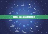 属狗2022年运势及每月，2022 年属狗下半年要出大事