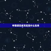 申酉遇空金无旺是什么生肖 未土生持酉金什么意思