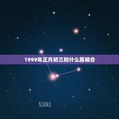 1999年正月初三和什么属相合，农历1999年正月初三午时出生男孩八字