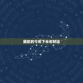 属蛇的今年下半年财运，1977年属蛇人每月运势