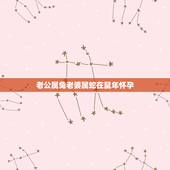 老公属兔老婆属蛇在鼠年怀孕，属龙和属兔的夫妻生个鼠宝宝