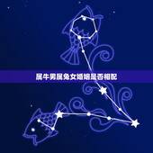 属牛男属兔女婚姻是否相配，属相婚配:男属兔和女属牛相配吗