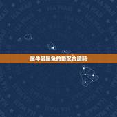 属牛男属兔的婚配合适吗，属马婚配什么属相最佳