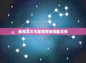 属相龙女与属相男猪婚配怎样，属相婚配：男属龙和女属猪相配吗