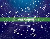 2022年生肖排码表图片，2022年十二生肖运势