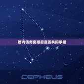 婚内债务离婚后是否共同承担，婚内债务离婚后如何承担