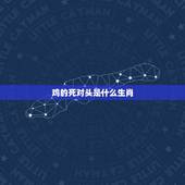 鸡的死对头是什么生肖，我的死对头终于破产了
