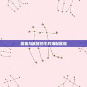 属猪与属猪的牛的婚配属相，属牛和属猪相配吗？
