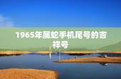 1965年属蛇手机尾号的吉祥号，属蛇用什么手机号吉利