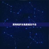 男狗和驴女兔属相合不合，男狗女兔相配吗