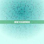 属兔今日运势查询，1963年属兔今天财运