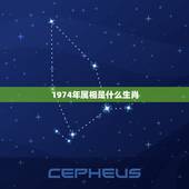 1974年属相是什么生肖，1974年属什么生肖？