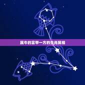 属牛的富甲一方的生肖属相，十二生肖最富甲一方的是什麼动物