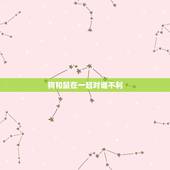 狗和鼠在一起对谁不利 属狗人要远离哪些生肖