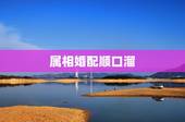 属相婚配顺口溜，请教高人：十二生肖的婚配相犯口诀