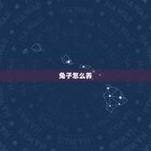 兔子怎么养，怎么养兔子？