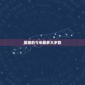 属猪的今年都多大岁数，十二生肖属猪的今年几岁