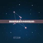 紫微星与属相马中的利害关系，属马的和什么属相相冲