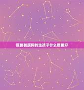 属猪和属狗的生孩子什么属相好，父亲属狗，母亲属猪，生个什么属相的孩子好