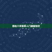 四柱八字算命入门基础知识，八字命理视频