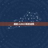 属蛇人2022年的运势，属蛇未来5年运势走向