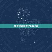 兔子今年多大了2022年，2022年属兔人的全年运势女