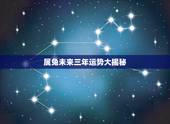属兔未来三年运势大揭秘，属兔人2022 每月运势