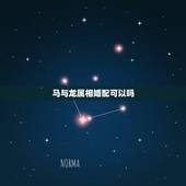 马与龙属相婚配可以吗，属龙和属马相配吗？