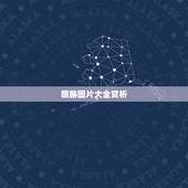 貔貅图片大全赏析，玉貔貅图片